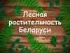 Лесная растительность Беларуси