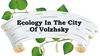 Ecology In the City оf Volzhsky