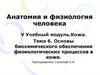 Основы биохимического обеспечения физиологических процессов в коже