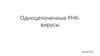 Одноцепочечные РНК-вирусы