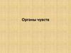Органы чувств