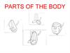 Parts of the body