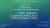 Проблема гендерного равенства в развитии рынка труда