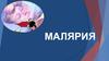 Малярия. Этиология. Жизненный цикл. Клиника. Лечение