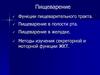 Пищеварение. Функции пищеварительного тракта