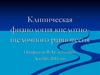 Клиническая физиология кислотно-щелочного равновесия