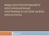 Виды консультирования и консультационные программы в системе бизнес-консалтинга