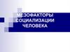 Мезофакторы социализации человека