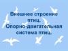 Внешнее строение птиц. Опорно-двигательная система птиц