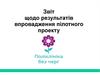 Звіт щодо результатів впровадження пілотного проекту «Поліклініка без черг»