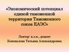 Экономический потенциал единой таможенной территории Таможенного союза ЕАЭС. Национальное богатство и экономический потенциал