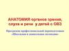 Анатомия органов зрения, слуха и речи у детей с ОВЗ