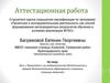 Аттестационная работа. Эссе «Проектная и исследовательская деятельность в рамках дополнительного образования в гимназии»