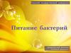 Питание бактерий