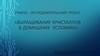 Учебно - исследовательский проект «Выращивание кристаллов в домашних условиях»