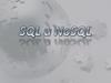 SQL и NoSQL. Системы управления базами данных (СУБД)