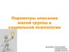 Параметры описания малой группы в социальной психологии