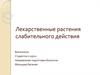 Лекарственные растения слабительного действия