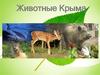 Животные Крыма