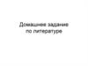 Домашнее задание по литературе