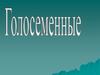 Голосеменные растения