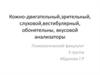 Кожно-двигательный, зрительный, слуховой,вестибулярный, обонятельный и вкусовой анализаторы