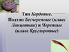 Тип Хордовые. Подтип Бесчерепные (класс Ланцетник) и Черепные (класс Круглоротые)