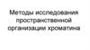 Методы исследования пространственной организации хроматина