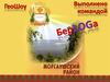 ГеоШоу. Моргаушский район