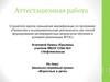 Аттестационная работа. Школьно-семейный проект «Взрослые и дети»