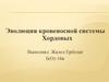 Эволюция кровеносной системы хордовых