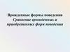 Врожденные формы поведения. Сравнение врожденных и приобретенных форм поведения