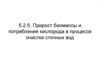 Прирост биомассы и потребление кислорода в процессе очистки сточных вод