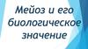 Мейоз и его биологическое значение