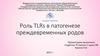 Роль TLRs в патогенезе преждевременных родов