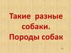 Такие разные собаки. Породы собак