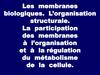Les membranes biologiques