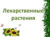 Лекарственные растения