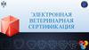 Электронная ветеринарная сертификация