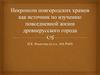 Некрополи новгородских храмов как источник по изучению повседневной жизни древнерусского города