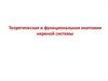 Теоретическая и функциональная анатомия нервной системы