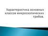 Характеристика основных классов микроскопических грибов
