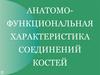 Анатомо-функциональная характеристика соединений костей