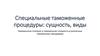Специальные таможенные процедуры: сущность, виды
