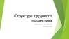 Структура трудового коллектива
