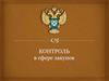 Контроль в сфере закупок