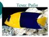 Тема: Риби