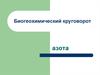 Биогеохимический круговорот азота