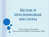 Белки и нуклеиновые кислоты