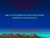 Топографическая анатомия нижней конечности